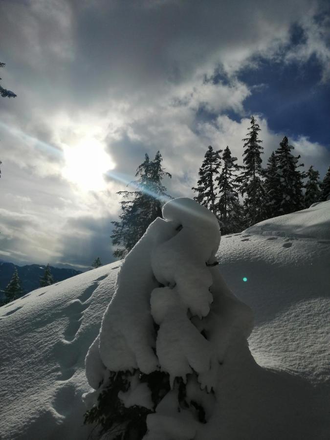 Hotel Garni Alpendiamant Fiss Bagian luar foto